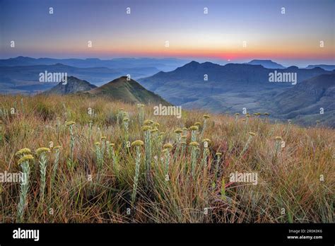 Sunrise above Little Berg, Tugela Valley, Amphitheatre, Royal Natal, Drakensberg, uKhahlamba ...