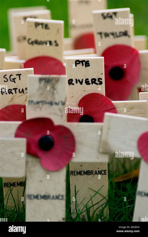 remembrance day crosses Stock Photo - Alamy