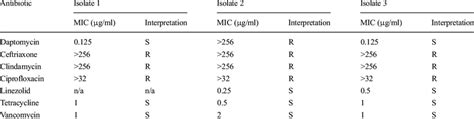 Antibiotic susceptibility profile of three Corynebacterium striatum... | Download Table