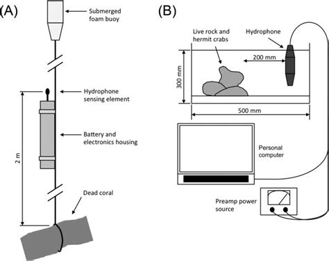 (A) Diagram showing how the Loggerhead Instruments hydrophone system...