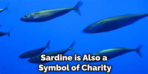 Sardines Meaning, Symbolism, and Totem Detailed Guide (2024)