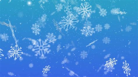 Snowflakes video animation. High quality snow flakes. Snow falling ...