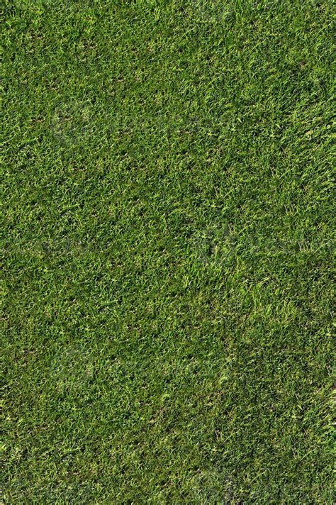 natural grass texture 1244285 Stock Photo at Vecteezy