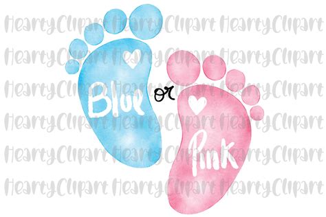 Blue or Pink Baby Feet PNG Gender Reveal Graphic by HeartyClipart ...