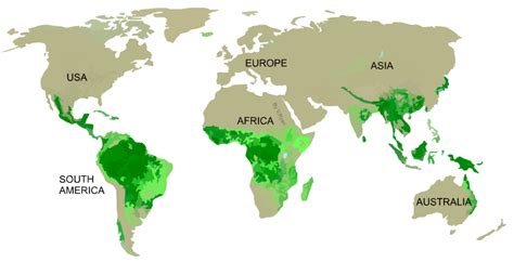 FORESTS AND WOODLANDS WORLD DISTRIBUTION OF NATURAL WOODS