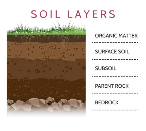Soil Degradation: At the Core of the Anthropocene’s Intricate Fragility | Global Challenges