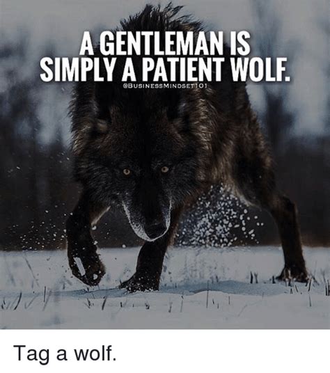 15 Top Wolf Meme Joke Images and Photos | QuotesBae