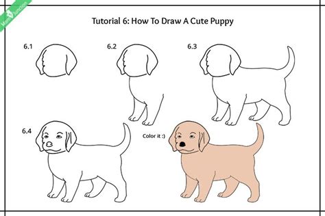 25 Idea How To Draw A Dog Sketch Step By Step For Beginner - Sketch Drawing Art