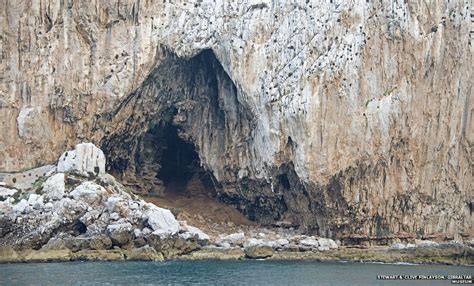 Neanderthal Artwork found At A Cave In Gibraltar - MyModTown.com