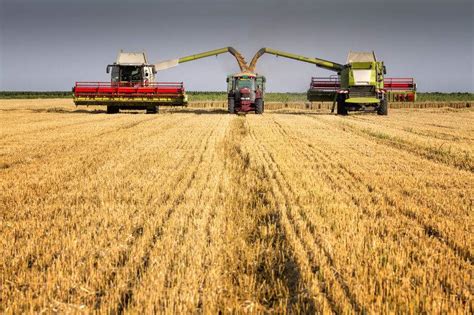 Researchers to explore resilience of arable farming during 'crucial time' for UK - FarmingUK News