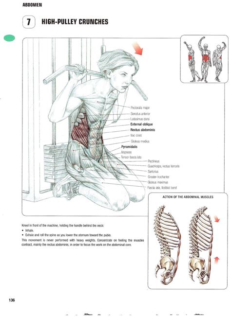 Strength Training Anatomy 2nd Edition