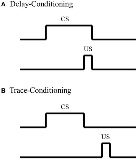 Schematic of Pavlovian conditioning paradigms. (A) In... | Download ...