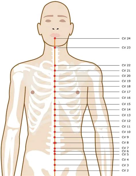 Acupuncture Points On Your Head, Neck, & Face