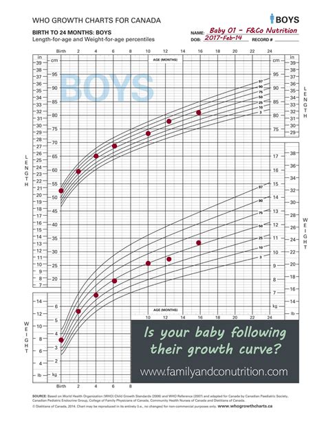 Growth charts: everything you need to know about your child's growth