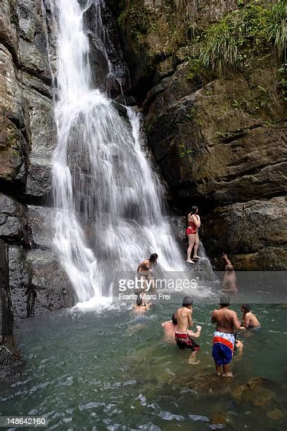 69 El Yunque Waterfalls Stock Photos, High-Res Pictures, and Images - Getty Images