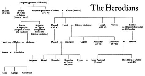 The Herodian family dynasty family tree | Bible family tree, Bible history, Bible knowledge