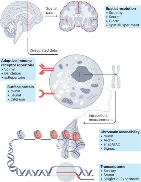 Best practices for single-cell analysis across modalities. - Abstract - Europe PMC