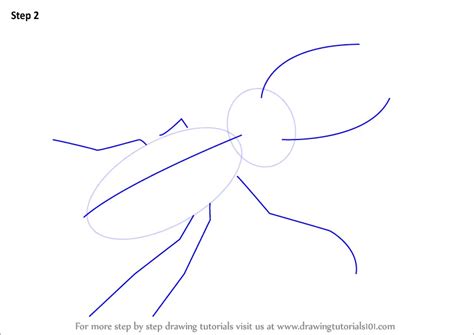 Learn How to Draw a Stag Beetle (Beetles) Step by Step : Drawing Tutorials