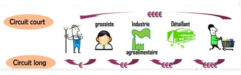 Les différents circuits - le circuit de distribution