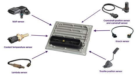 What Exactly Is An Ecu In An Electric Vehicle - Jenni Norine