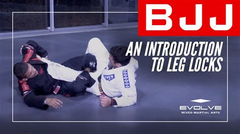 BJJ | An Introduction To Leg Locks - YouTube