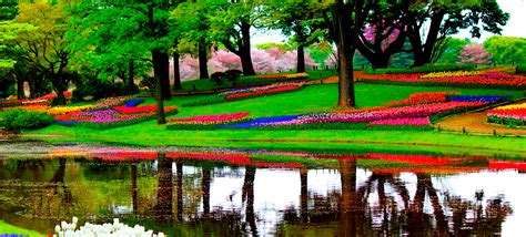 Keukenhof Gardens Tour from Amsterdam