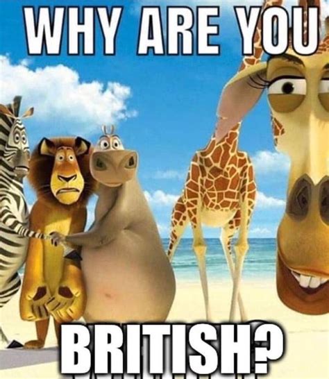 Why are you British | Melman says San Diego | Know Your Meme