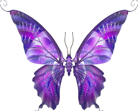 Butterfly Wings PNG Transparent Images - PNG All
