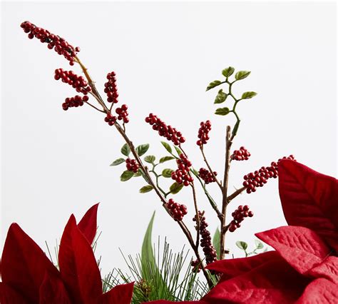 Composed Poinsettia Centerpiece | Pottery Barn