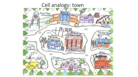 Animal Cell City Project