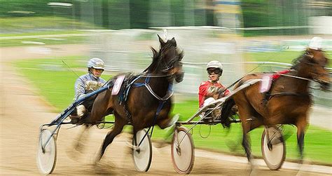 Balmoral Park Racetrack