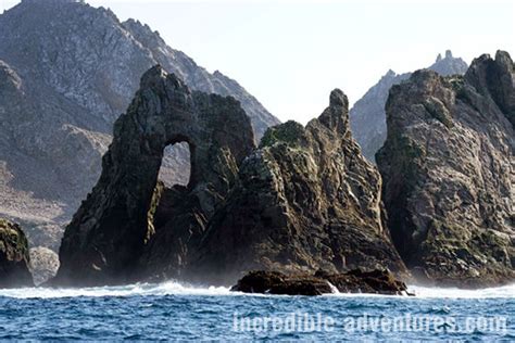 Great White Shark Dive Farallones Trip Details