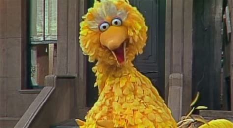 Check Out This Trailer For I Am Big Bird, A Caroll Spinney Documentary ...