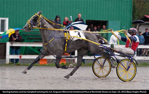 'Sterling' Named NS Horse Of The Year | Standardbred Canada