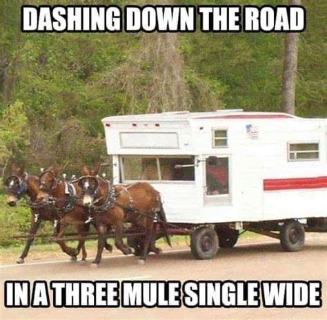 Funny camping photos and memes of the week - RV Travel