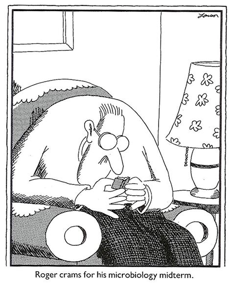 53 best The Far Side..thank you Gary Larson! images on Pinterest