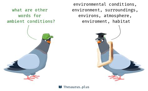 12 Ambient conditions Synonyms. Similar words for Ambient conditions.