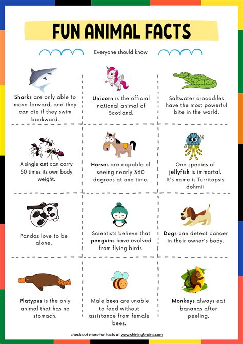 Fun Facts about Animals for Kids with free animal facts Printable