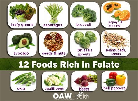 12 Foods Rich in Folate | Folate rich foods, Folate, Vegan nutrition