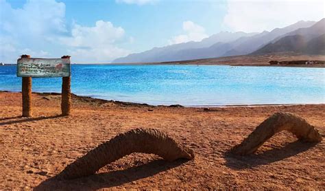 South Sinai beaches a dream. Photo by Mohamed Mahdy #egypt #sinai ...