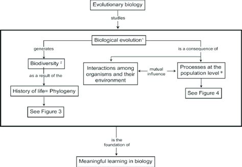 Evolution Concept Map Answers - Alysia Margeaux