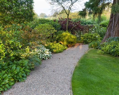 Woodland plants: 10 of the best for shady areas in a garden | Homes & Gardens