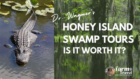 Honey Island Swamp Tour