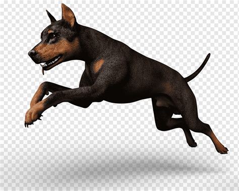 Animal, Dog, Rendering, 3d, png | PNGWing