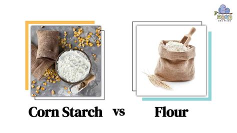 Corn Starch vs. Flour: The Main Differences Between Two Baking Staples