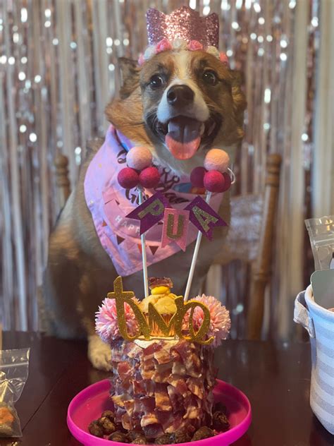 Dog Cake Builder | Custom Dog Birthday cake - The Seattle Barkery