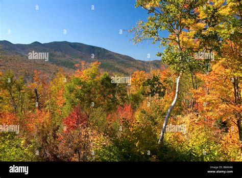 Scenic view of fall foliage in the Franconia Notch State Park New ...