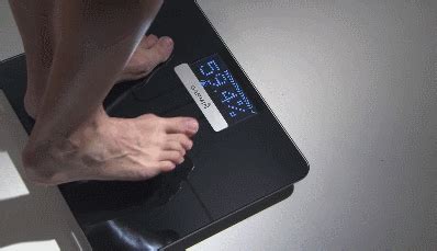 Garmin Index Smart Scale [WiFi] » Fitness Gizmos