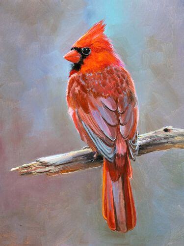 Cardinal bird ORIGINAL oil painting, Northern cardinal art, Realistic ...