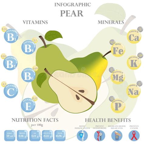 Pear Nutrition Facts and Health Benefits Infographic Stock Vector ...